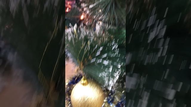 1000059286.mp4