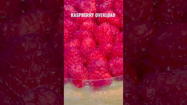 YUMMY RASPBERRY OVERLOAD  CHEESECAKE #shorts #raspberry #cheesecake #shoprite #desserts #sweets