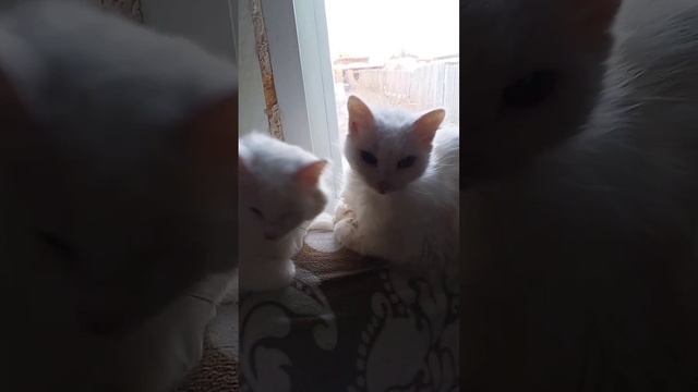 Жизнь удалась 😂