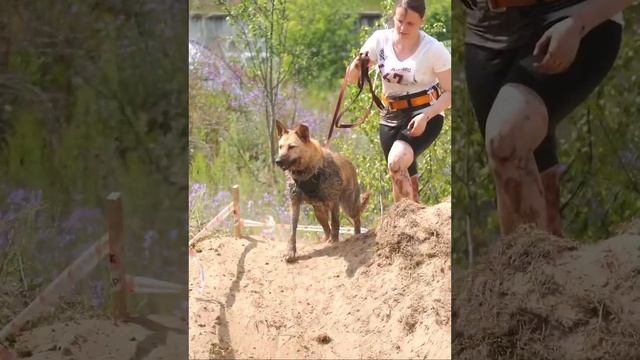 Гимн Ногинского приюта