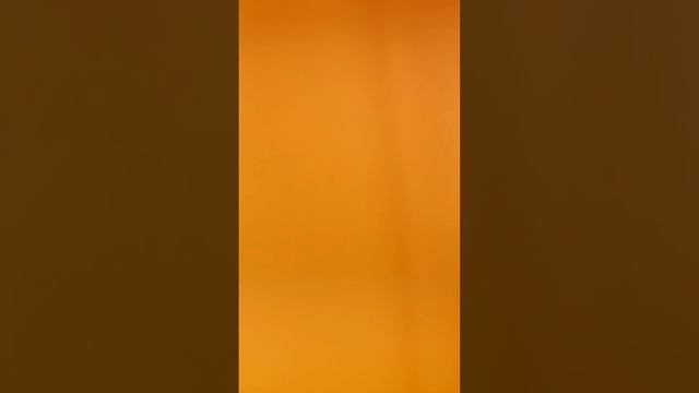 Первое