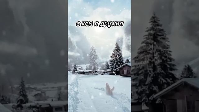 1000100597.mp4