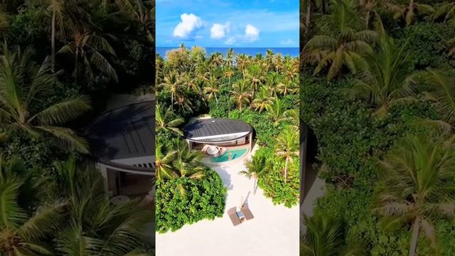 1000082231.mp4