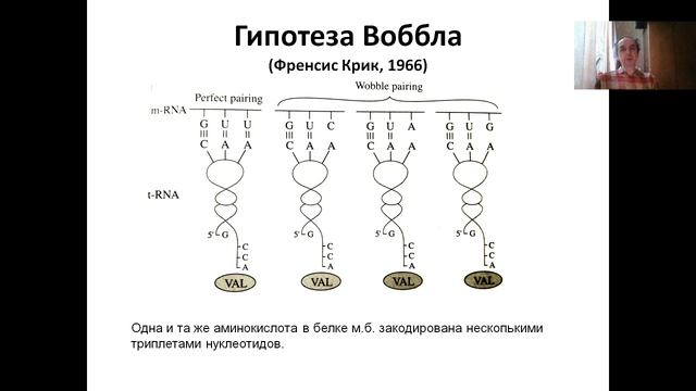 Основы молекулярной и клеточной биологии (2024). Лекция 1.1 Вводная. История молекулярной биологии.