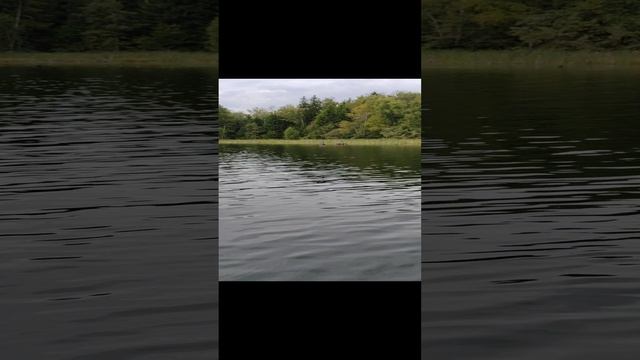Озеро коряжник
