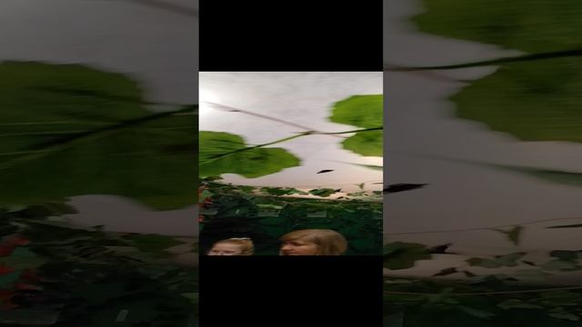 VID_20250104_145223.mp4