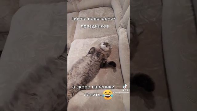 7 января https://ok.ru/messages/join/Y2w966_K9qukJaBugtDEZ8yUMLtI-Lct24STSUZBPFT3Y1mP0oQtnX8FmFcoe5j