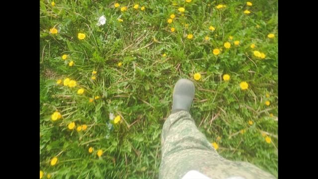 Неопалимая Купина - Дед Мазай да заяц Ай