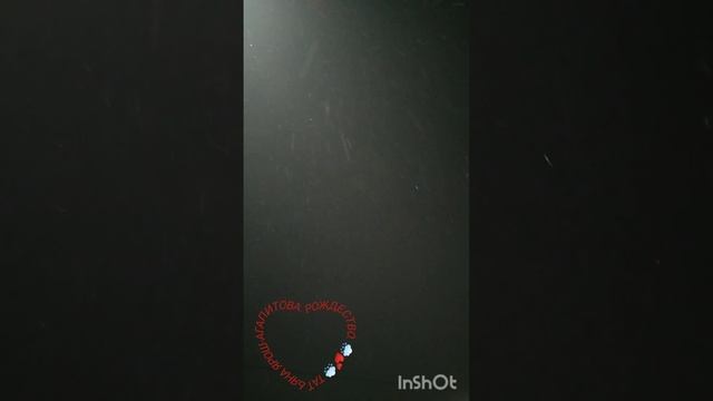 06-01-2025 Рождество. Татьяна Ярош-Агапитова. Эта Россия 🇷🇺, детка. Дора русский спаниель.