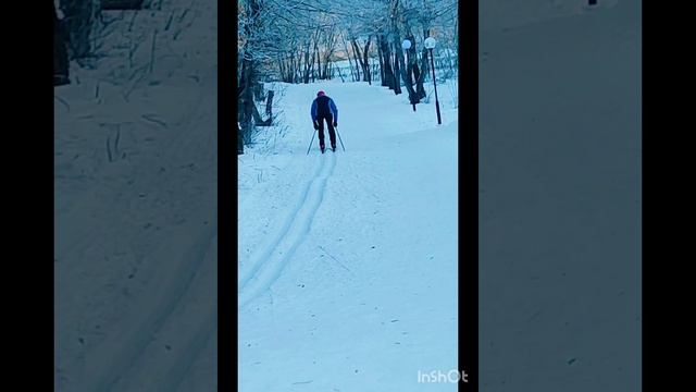 Моя спортивная пробежка в парке. Зимний парк