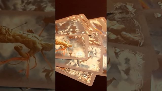 СОПЕРНИЦА. ЧТО ПРОИСХОДИТ В ЕЕ ЖИЗНИ??