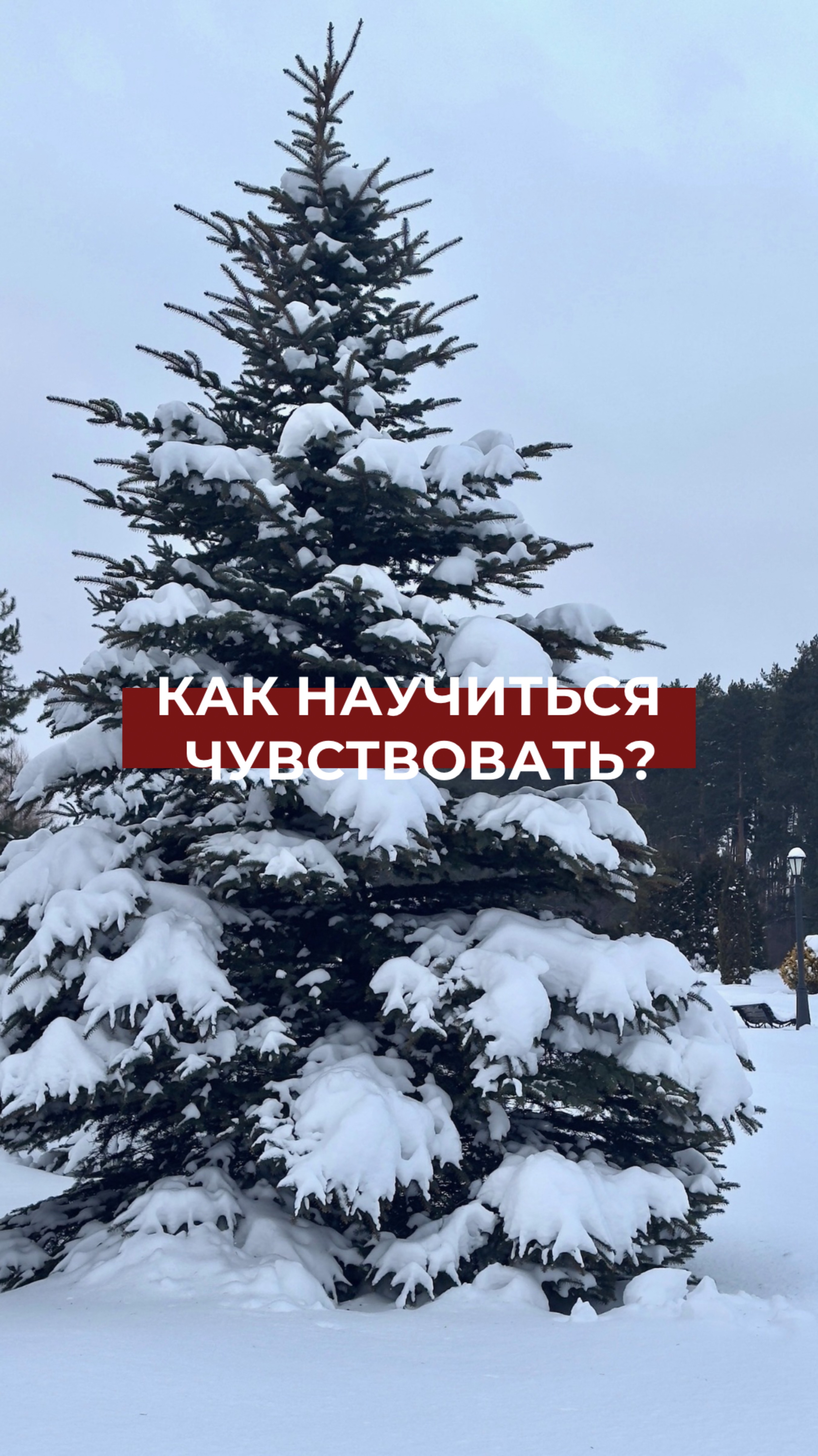 Держать эмоции внутри — не значит, уметь контролировать их…