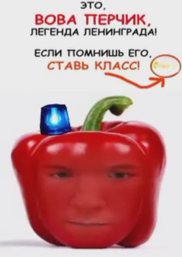 вова печик