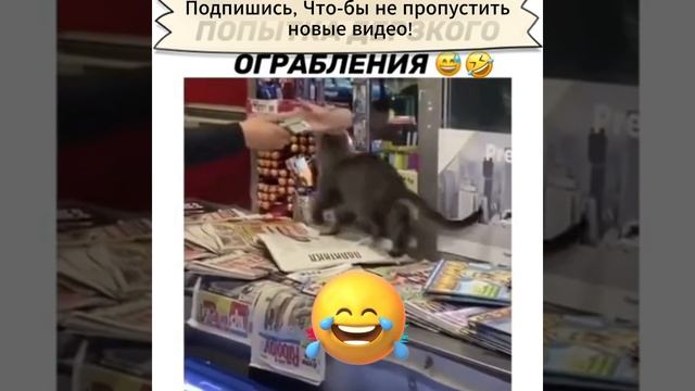 Попытка ограбления