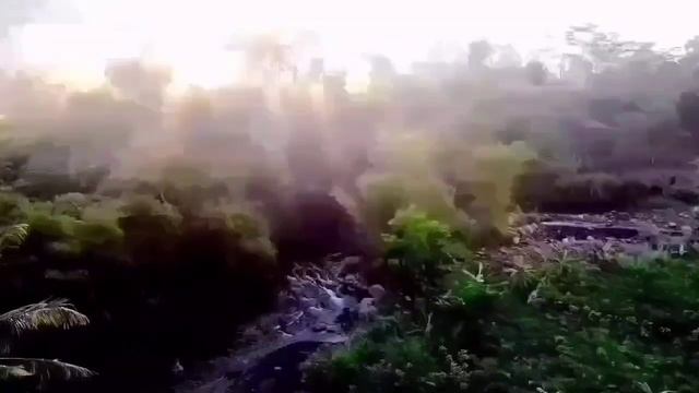 ВСЁ СТРАДАЕТ КРОМЕ ЖЕЛУДКА! ПИРАТСКАЯ ЖИЗНЬ.