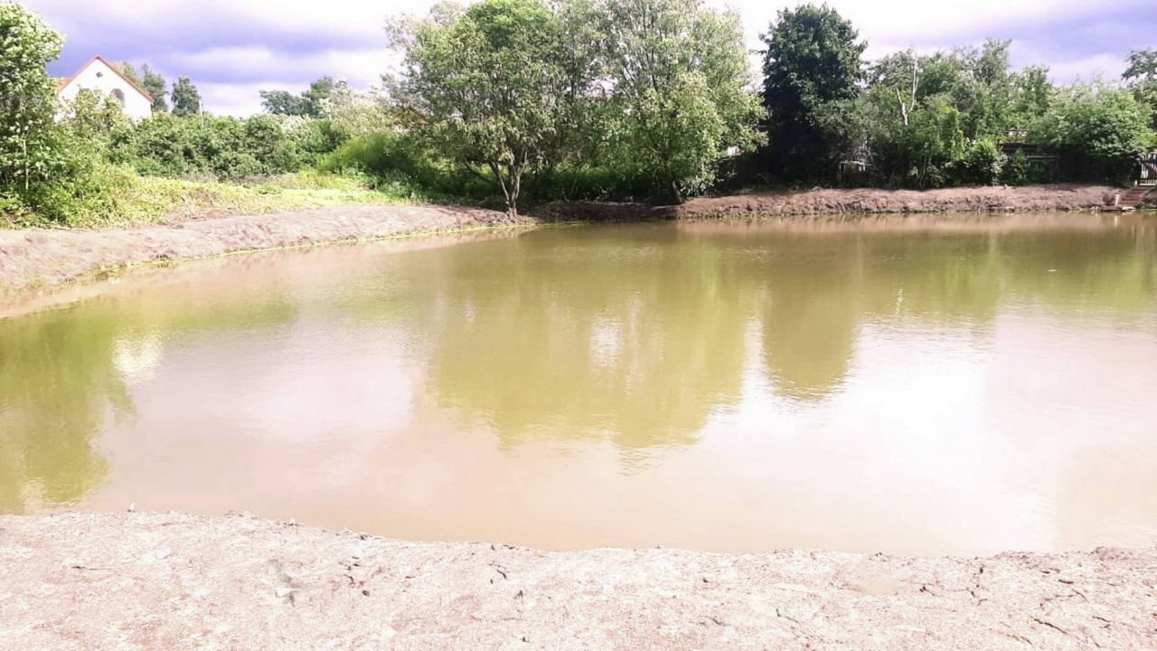 Пруд в д. Подчерково Дмитровского района у церкви. Полностью заросший и заброшенный водоем.