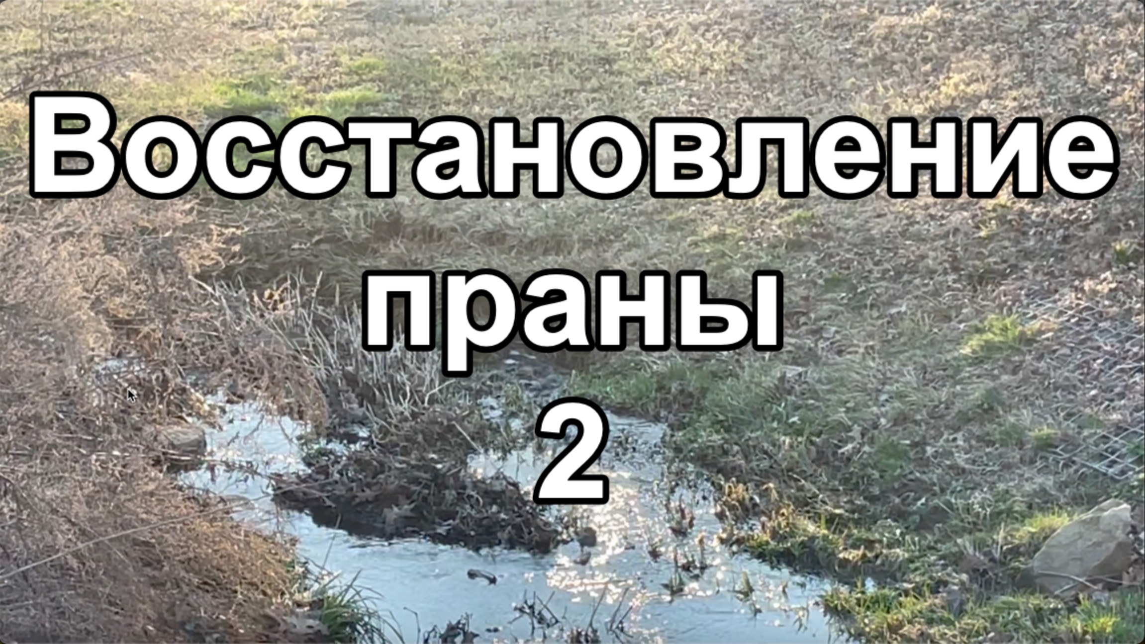 Восстановление праны 2