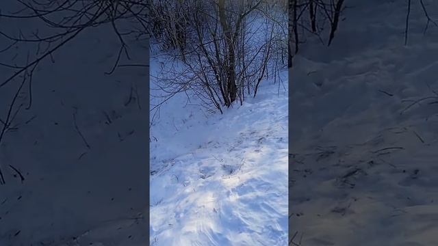 смешные катания
