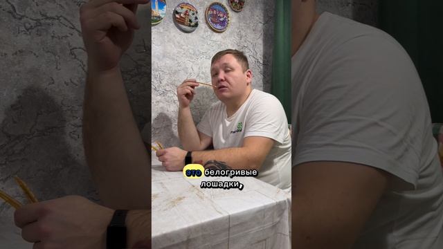 Тучи не облака
#МыСемьяБайрамовых #РусланБайрамов #ЛилияБайрамова #юмор #приколы #семья