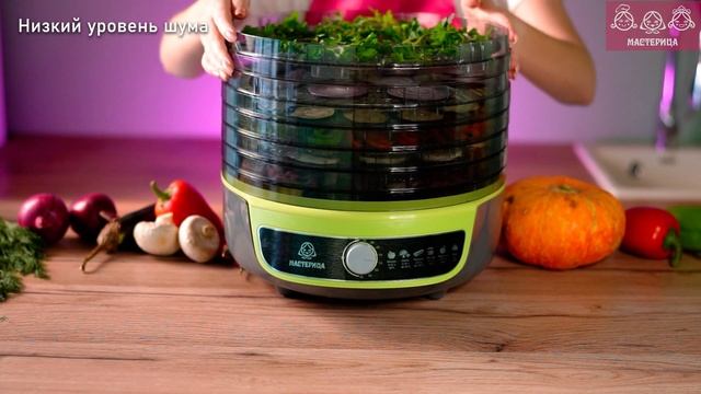 Сушилка Мастерица EFD-1003 3в1: пастила/сушка/йогурт