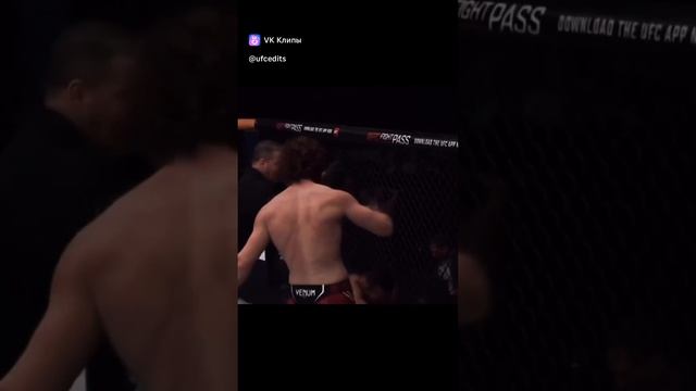 ШараБулет нокаут коленом в UFC