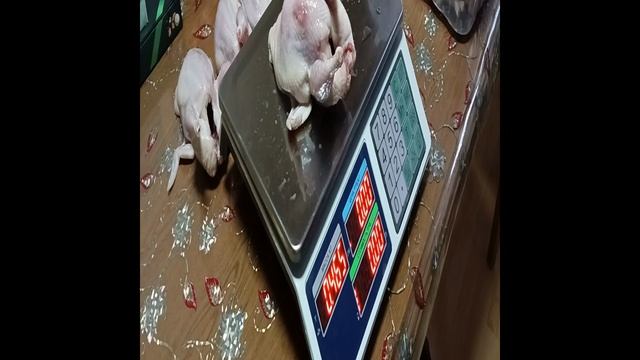 1000648077.mp4