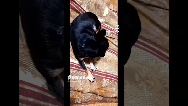 моя спящая красотка Юлька