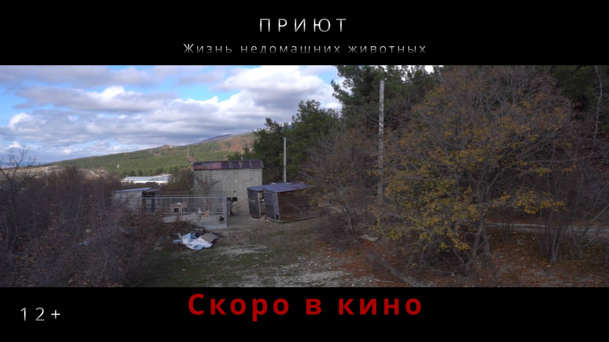 Трейлер документального фильма "Приют: жизнь недомашних животных"