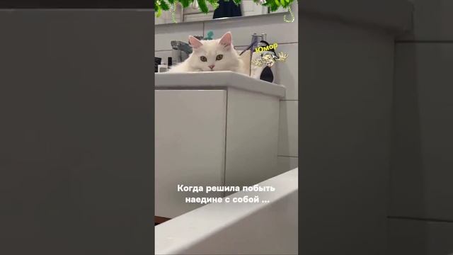 Когда решила побыть наедине с собой...