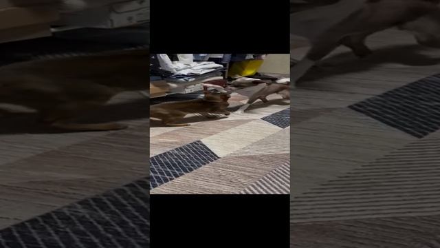 1000020407.mp4