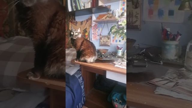 КОШКИ КНЯЗЯ МЫШКИНА.
