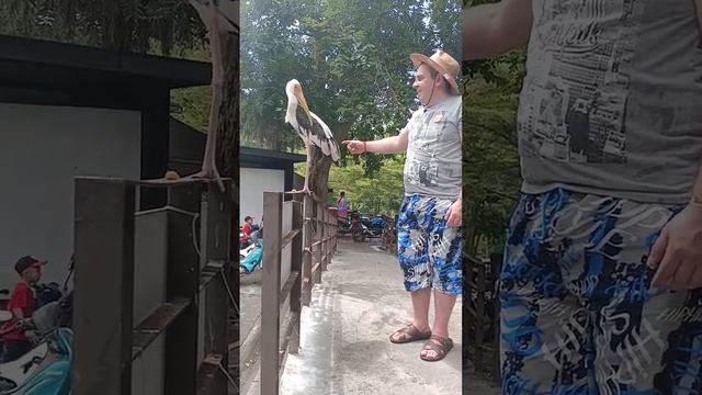 VID_20250106_132245_486.mp4