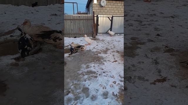 все про все