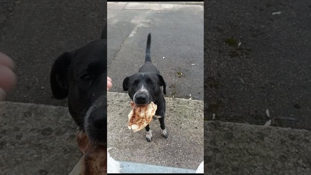 1000000666.mp4