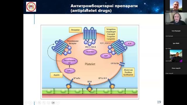 Лекція 08. Серцево-судинні препарати (Кондратов І. С.)
