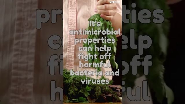 Unbelievable Benefits of Coriander Leaves you Can't Ignore!
