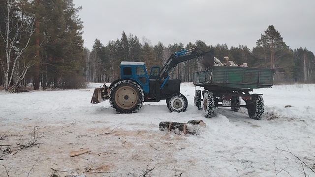 т 40 ам работает в деляне