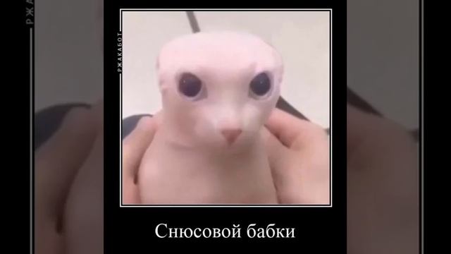 Я съел пабло😂#Shorts