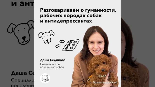 Разговариваем о гуманности, рабочих породах собак и антидепрессантах