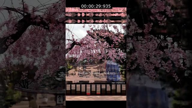 Solar Sound - Sakura ( Chill Rework 2022 ) #shorts #music