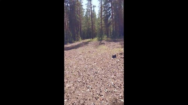 Ответы на вопросы: выпуск 87