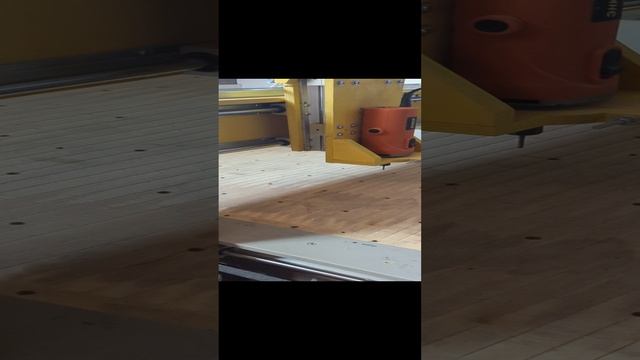 1000022449.mp4