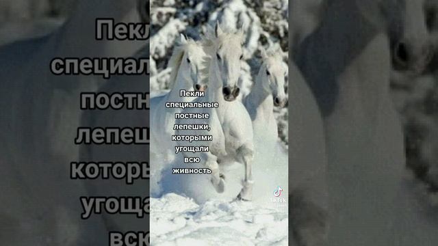 VID-20250105-WA0005.mp4