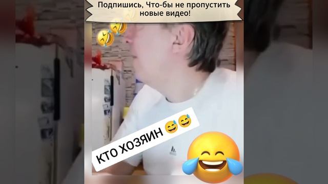 Кто в доме хозяин