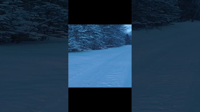 Красивая новогодняя природа.