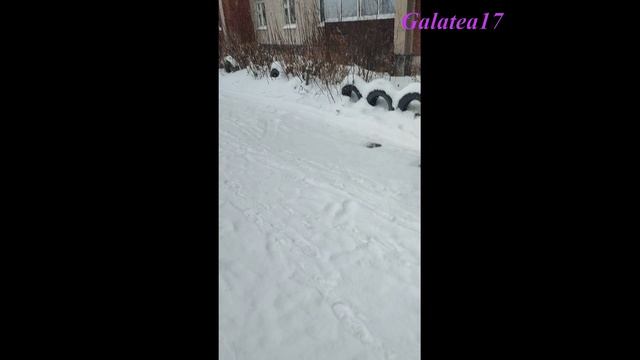 СНЕЖНЫЙ ТАНЕЦ ХЛОПЬЕВ \ ОЧЕНЬ КРУПНЫЙ СНЕГ ВАЛИТ #rutube #зимнийвайб #galatea17