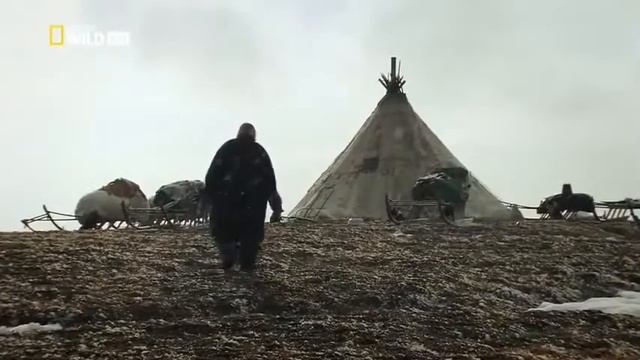 Мамонтёнок, застывший во времени  Малышка Люба