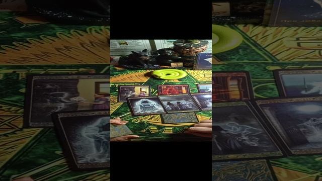 1000042206.mp4