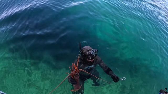 B2B Castaways (Strick and Fran) Day 14 at Sea GIANT LOBSTER Catch & Cook На РУССКОМ