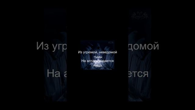 Все кругом забрызгано кровью...